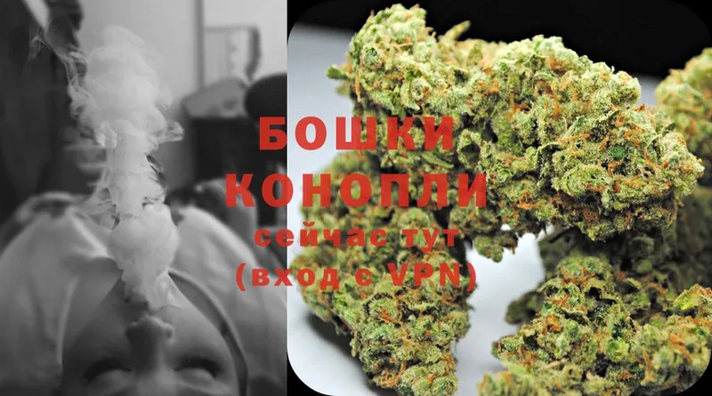 Канабис White Widow  купить  цена  Бабаево 